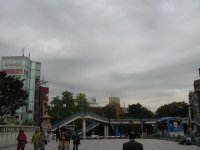 IMG_3497.JPG